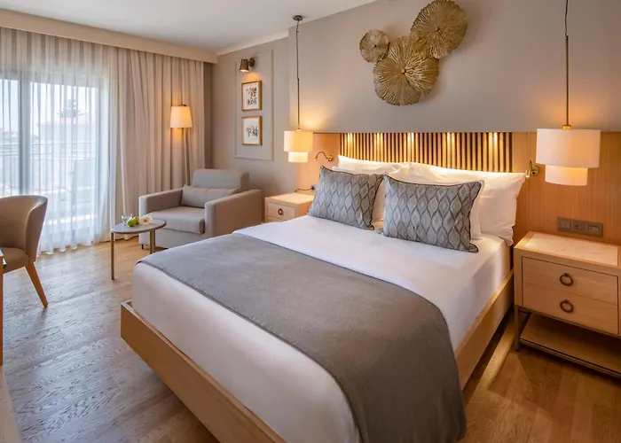 Barut Hemera فندق 5*